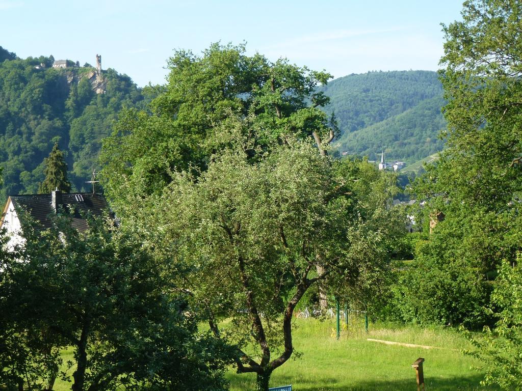 Feriendomizil Im Plantert Apartment Traben-Trarbach Exterior foto